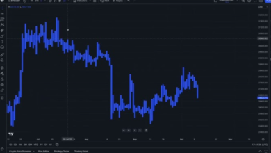 How to Use Trade View for Smarter Trading Decisions