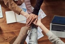 available business support information