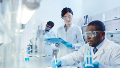 Pharmaceutical Consultant Role in Streamlining Drug Development Processes