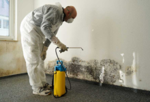 How Mold Inspection Services Keep Your Property Safe and Healthy