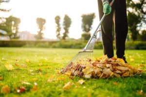 How Fall Cleanup Sets the Stage for a Picture-Perfect Spring Lawn