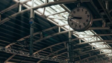 lolcams al platform overview