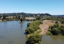 mkvcinemas wiki overview details