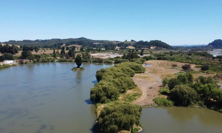 mkvcinemas wiki overview details