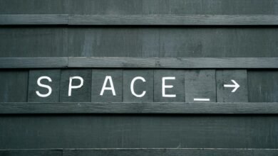 movezwap org telugu guide