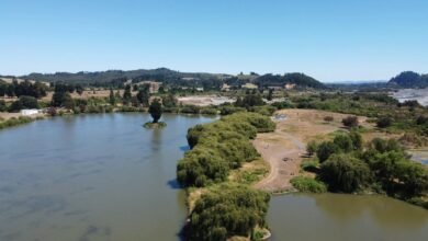 movie 4me cc overview