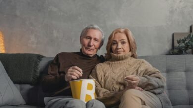 movie streaming platform explained