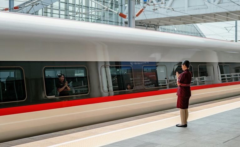 movie streaming platform guide