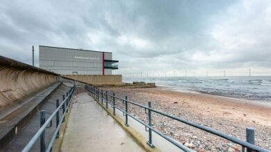 moviesbay platform functionality explained