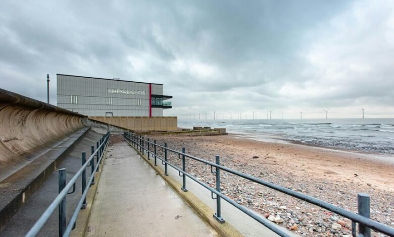 moviesbay platform functionality explained