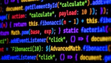 moviesraja com functionality explained