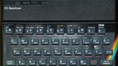 audience growth strategy online