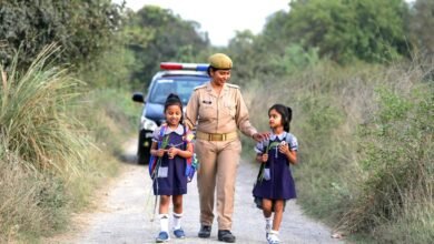 brand authority and direction