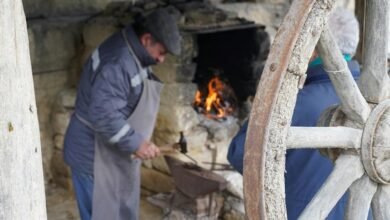 business development firm growth