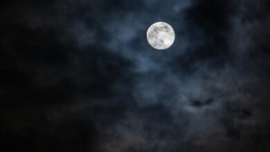 expansion of growth orbit