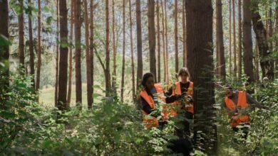 search visibility enhancement lift