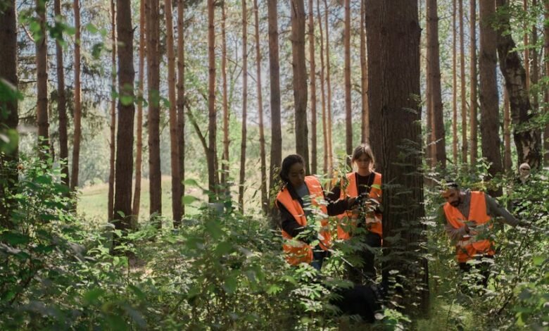 search visibility enhancement lift