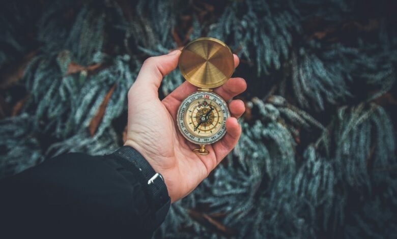 traffic navigation assistance needed