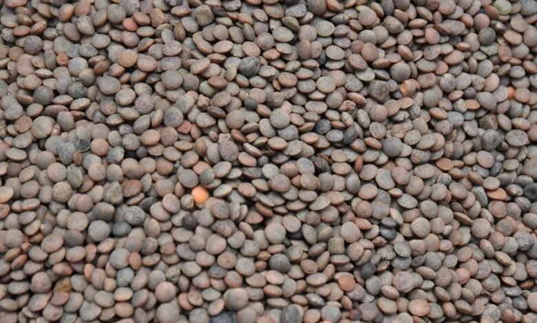 enhance market pulse lens