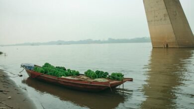 market growth strategy initiative