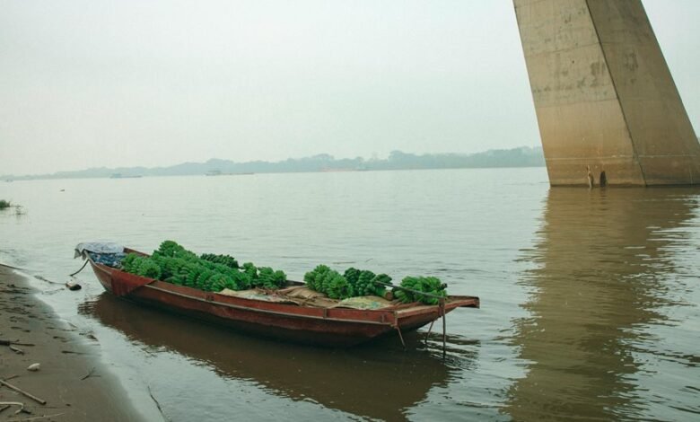 market growth strategy initiative