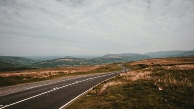 maximize performance horizon beacon