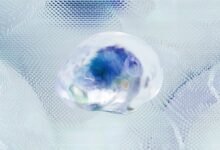 neural beam apex drift