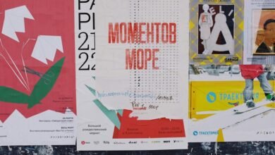 next momentum revenue breakdown