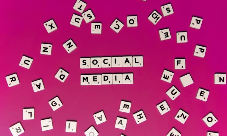 omega lane strategic vector