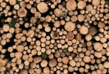 risk analysis and user logs