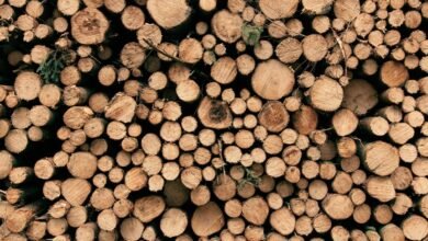 risk analysis and user logs