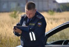 safety notes and reports