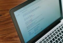 elevate digital influence web services