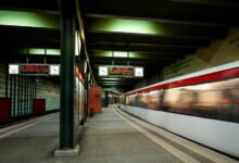 expand online authority on digital platform