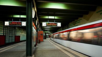 expand online authority on digital platform