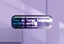 language and encoding analysis identifiers