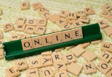 online profile of larovviraf153