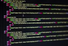 what is the userid query