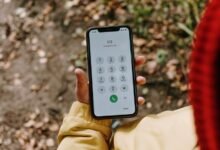 list of caller numbers provided