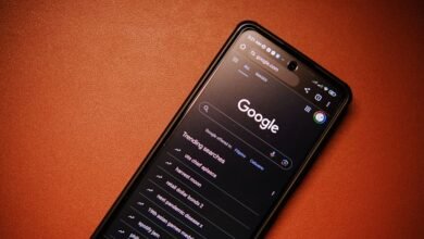 phone number lookup results list