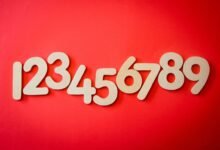 phone numbers list for investigation