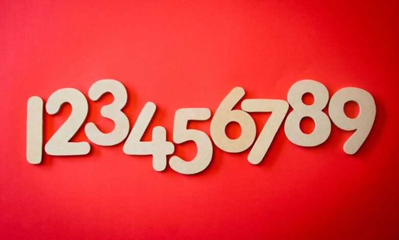 phone numbers list provided