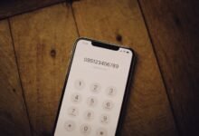 phone numbers listed for reverse search