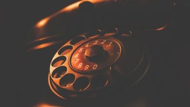 phone numbers search results and details
