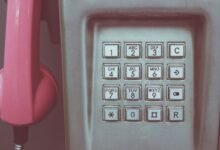 public lookup data request numbers listed