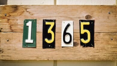 public number records 5 ids