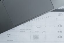 registry ids search results summary