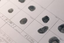 study public registry numbers for specific records