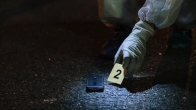 view registry evidence for listed numbers